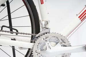 Bulls Vulture 2 | Newly Added