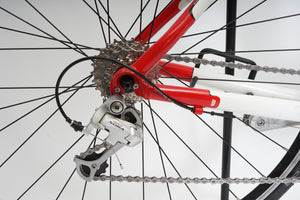 Bulls Vulture 2 | Newly Added