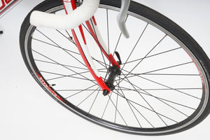 Bulls Vulture 2 | Newly Added