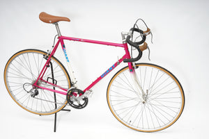 Giant Team | Newly Added