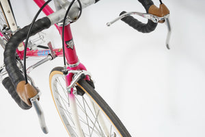 Giant Team | Newly Added