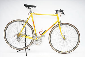 Gazelle | Newly Added