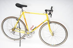 Gazelle | Newly Added