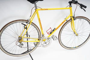 Gazelle | Newly Added