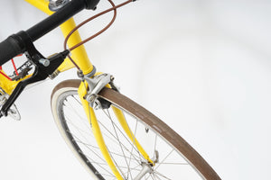 Gazelle | Newly Added