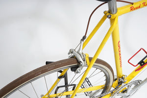 Gazelle | Newly Added