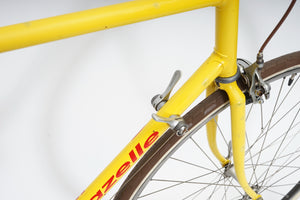 Gazelle | Newly Added