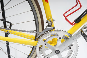 Gazelle | Newly Added