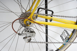 Gazelle | Newly Added