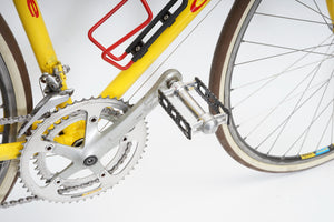 Gazelle | Newly Added