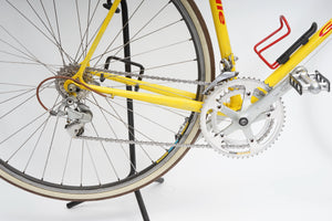 Gazelle | Newly Added