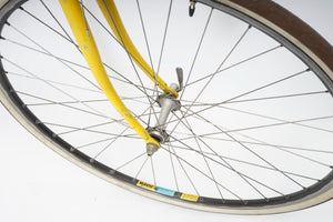 Gazelle | Newly Added