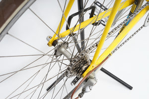 Gazelle | Newly Added