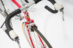 Giant Speeder Lite | Newly Added