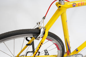 Giant CFR-Team | Newly Added