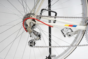 Raleigh | Newly Added