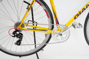 Giant CFR-Team | Newly Added