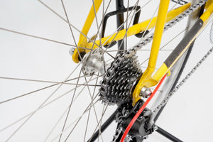 Giant CFR-Team | Newly Added