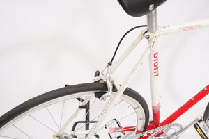 Giant Peloton Superlite (single-speed) | Newly Added