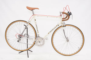Gazelle Champion Mondial | Newly Added