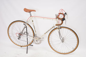 Gazelle Champion Mondial | Newly Added