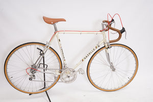 Gazelle Champion Mondial | Newly Added