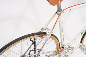 Gazelle Champion Mondial | Newly Added