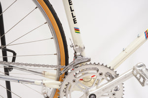 Gazelle Champion Mondial | Newly Added