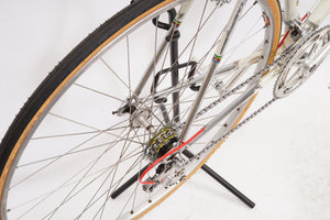 Gazelle Champion Mondial | Newly Added