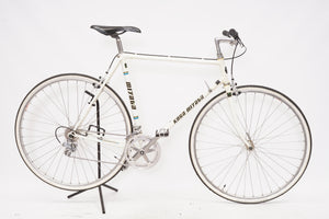 Koga Miyata | Newly Added