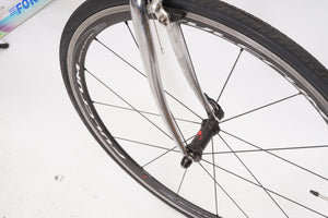 Fondriest | Newly Added