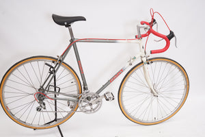 Giant Pacer | Newly Added