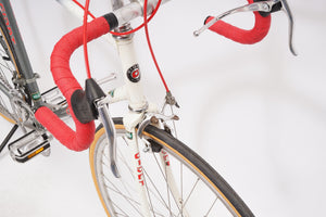 Giant Pacer | Newly Added