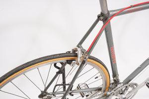 Giant Pacer | Newly Added