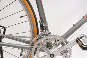 Giant Pacer | Newly Added