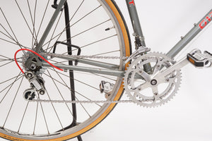 Giant Pacer | Newly Added