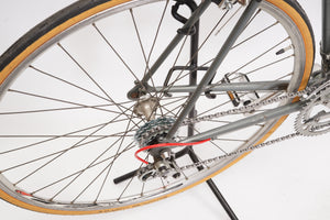 Giant Pacer | Newly Added