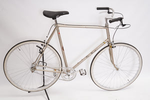 Raleigh (single-speed)