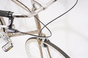 Raleigh (single-speed)