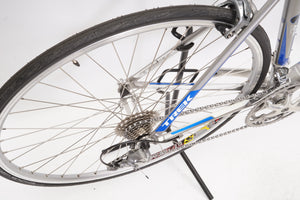 Trek | Newly Added