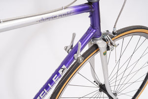 Gazelle Champion Mondial | Newly Added