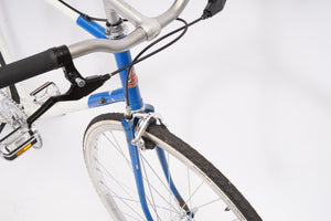 Raleigh (single-speed)