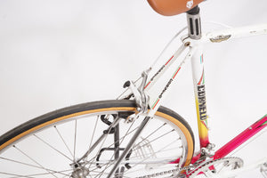 Cornelo | Newly Added