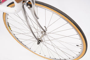 Cornelo | Newly Added