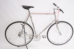 Gazelle Tour de l'Avenir (single-speed)