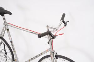 Gazelle Tour de l'Avenir (single-speed)