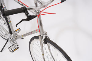 Gazelle Tour de l'Avenir (single-speed)