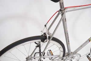 Gazelle Tour de l'Avenir (single-speed)