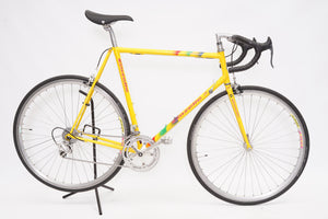 Gazelle Goldline | Newly Added