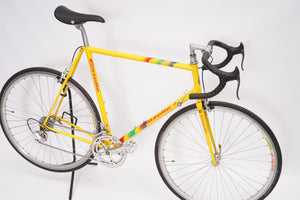 Gazelle Goldline | Newly Added